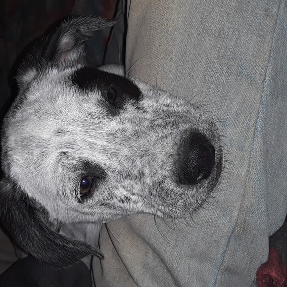 Meet your Posher, Hollaaaaa Hollaaaaa🤙🤙 I'm Tampa - Picture 8 of 16